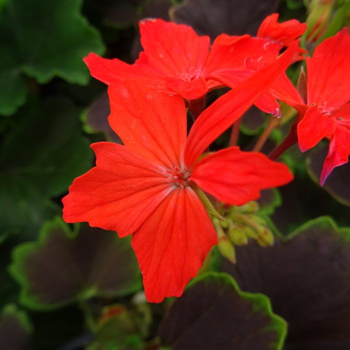 a90e4370-c007-4156-a03f-449dbadc454e