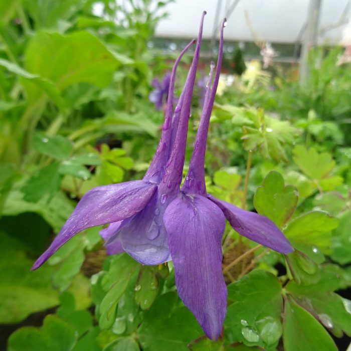 9e1bb497-8b69-4e14-83db-597b1b6e4e25