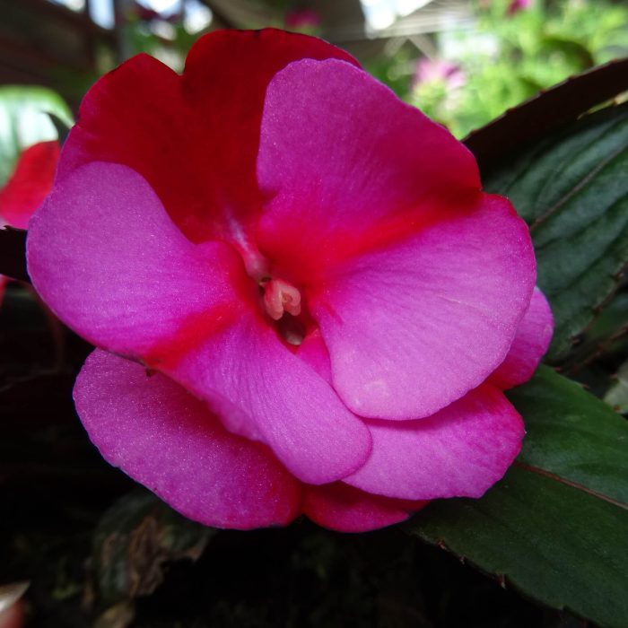 4e8fdcf6c75af8d723fecddcbed654c3.jpg a08e7c0b-51b0-490e-80b9-ef7d9c144fab