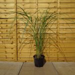 45dc990a-bd8d-4d6a-b82e-ff63a4a2ed58