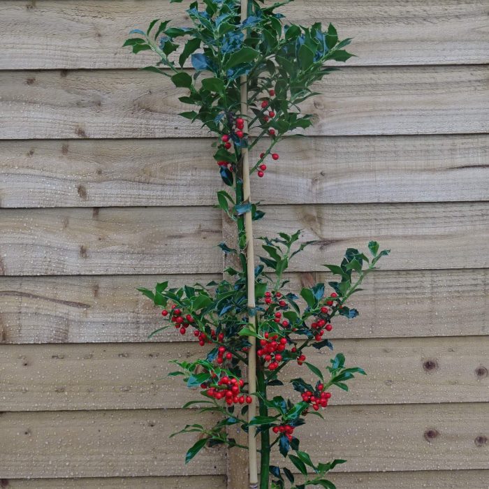 4eba55391308f281420f99e849606102.jpg f3f29fab-1fbf-4c5c-bc53-f8be3a96640c