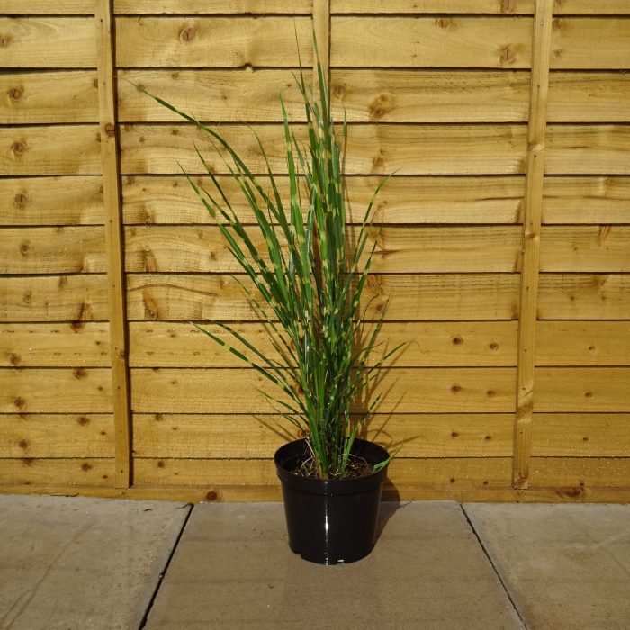 7c006eba-39a5-4d3e-aff1-a59f52c3b7e2