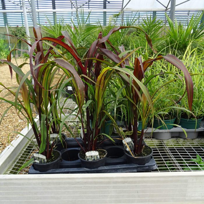 718c46c9-caf4-499d-b4ff-33356ee2556b