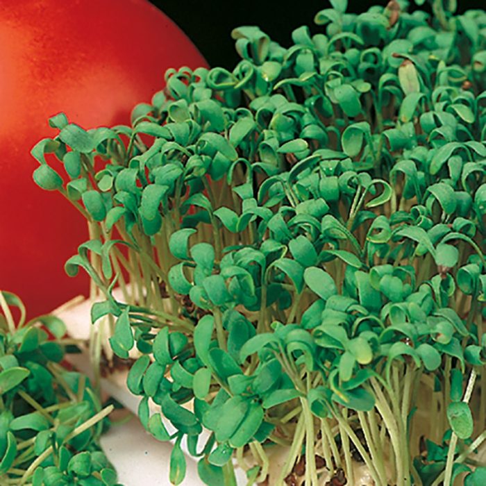 4f380394c9f20118a505f8ce41810ccb.jpg ea05e3db-4f6d-455c-9c11-60d206e8fd5b