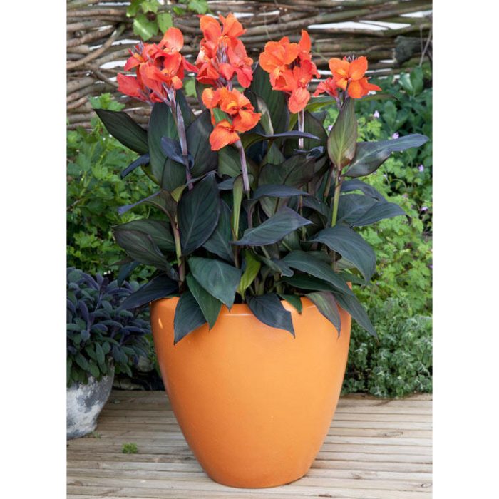 f302dbc4-fb1e-448f-b19b-b5db7277e091