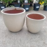 0cad7550-6e95-46ef-bcf8-a2f16a09af03