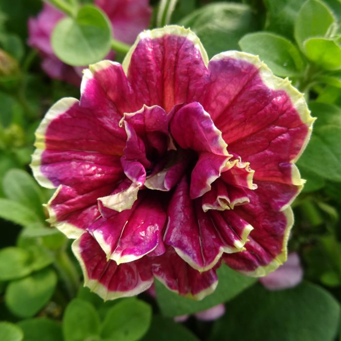 6f6aac8d-7657-408f-ac2d-956939230606