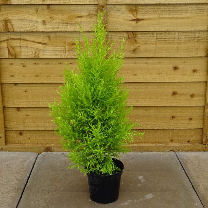 b371602e-da10-4239-a969-630432400bcf