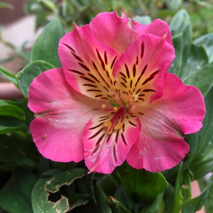 88c7e032-bf14-4270-b81d-bbd87e418fbc