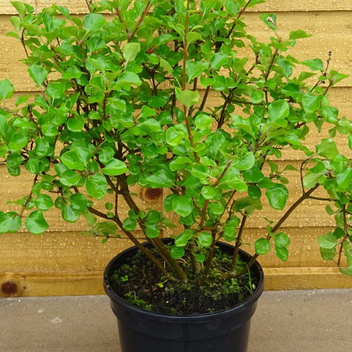 8fe4768d-a1e0-4a1b-a3d9-e878860d994b