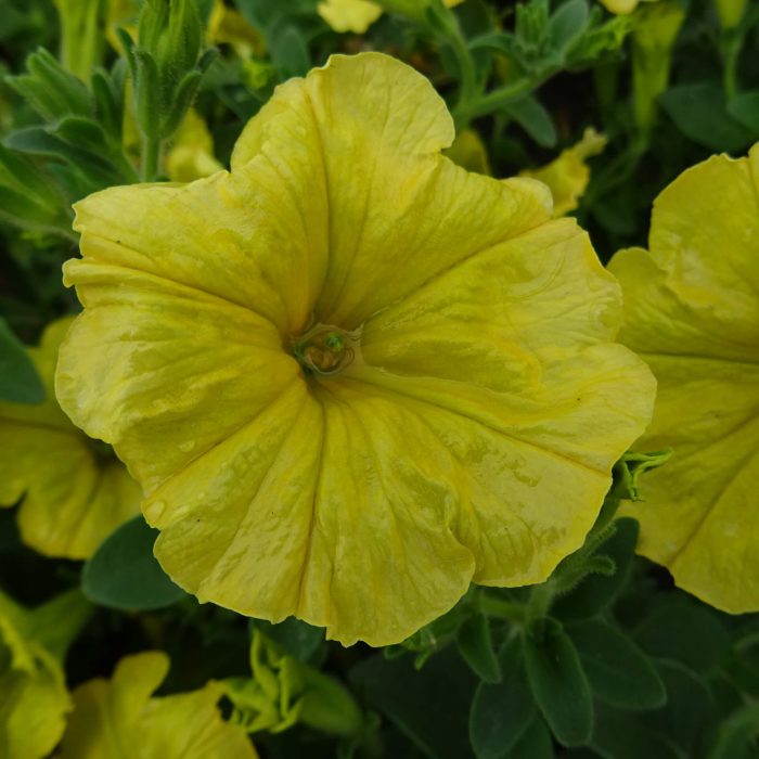 324cc9e8-c111-41fa-97a5-b143234e6fdc