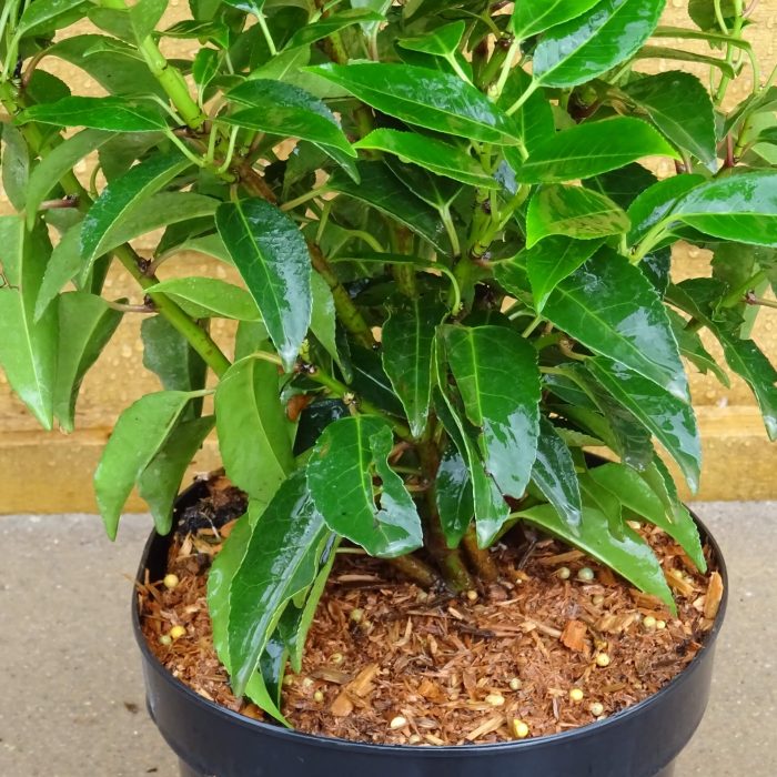 e13ab473-db9d-4325-a6ed-7b57bf74c58a