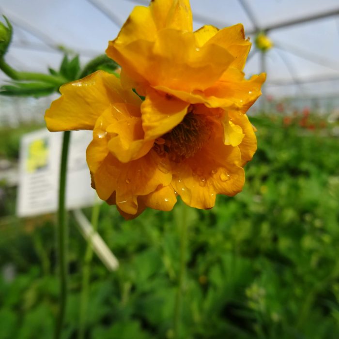 b67356cc-21e1-46af-bd45-d767a95018ba