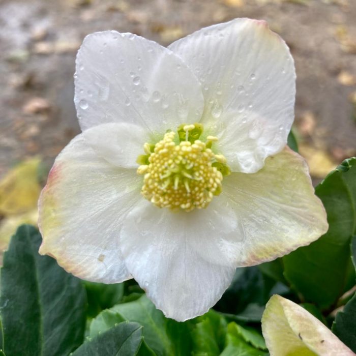 525a020da8fbcb2eceb1f9b598f17b0c.jpg 3da3b25d-99f8-44c7-85b7-60a1bd9a6f95