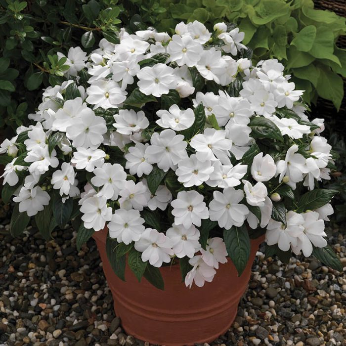 52a3a02c76dc26ec3ed335668c8aabdb.jpg a16c9eab-0577-4239-aae4-f0a86e5c0851