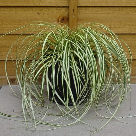 60377bf2-8fe7-47dc-951d-c449a3b74047