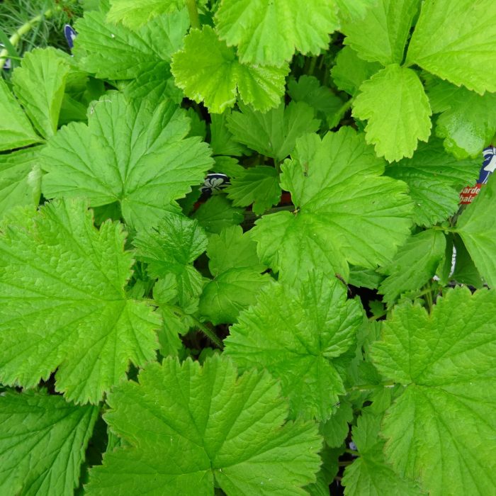 b16f6714-0938-48a9-bd7a-99f8f5d81fe8