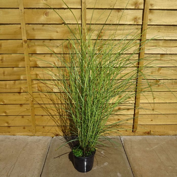 bc7f9dfe-0bda-4b58-b475-39f5559eb4e1