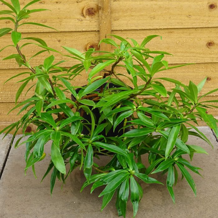 86857f77-decb-4819-af27-0ca487f4b001