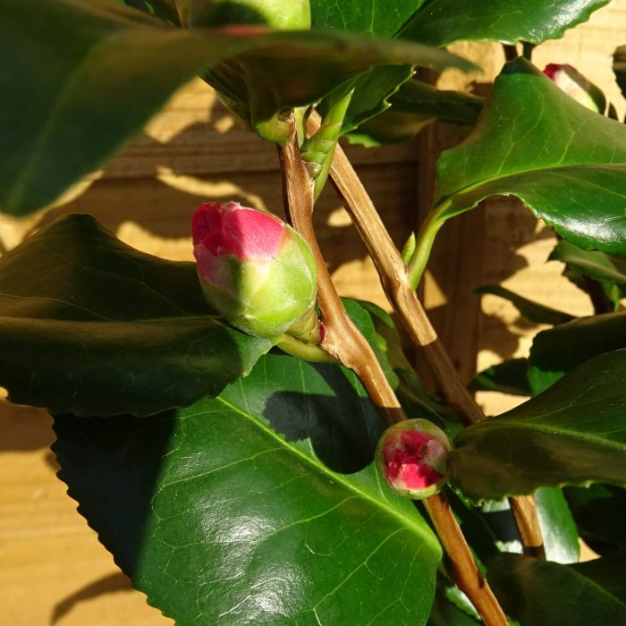 842c23c3-f24b-4130-9b5b-c5c9654c874c