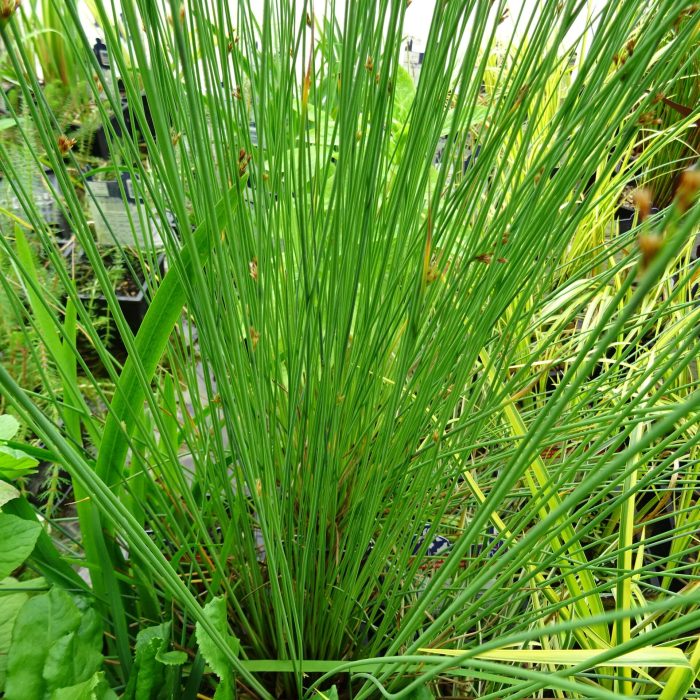 7c3aee1f-08fb-4cf5-930e-5a4060c24c7e