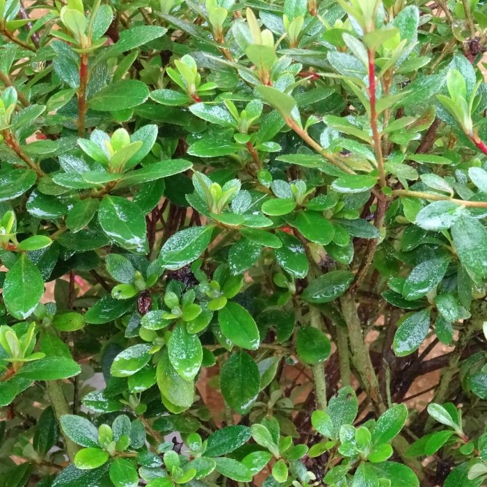 aaa6567b-97ce-4f67-a8f4-d44a28d66c40