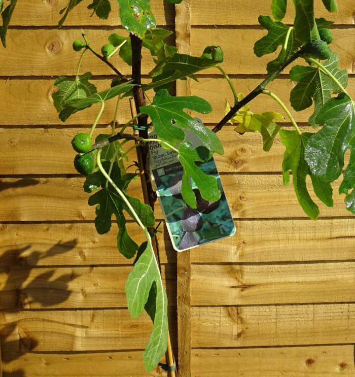 1e413800-0fe0-41d5-aabe-539d536f59de