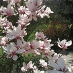 68d9676b-1d08-4bec-94cc-8fd7538765b5