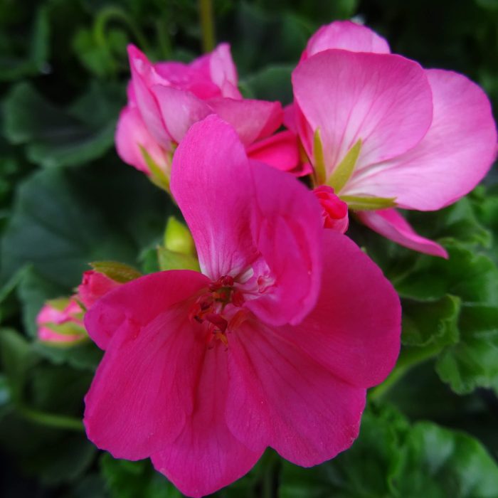 5520179604cfb229b3eae7d146c0c641.jpg 81ea09d6-84fb-4111-8a57-58923bf589a2