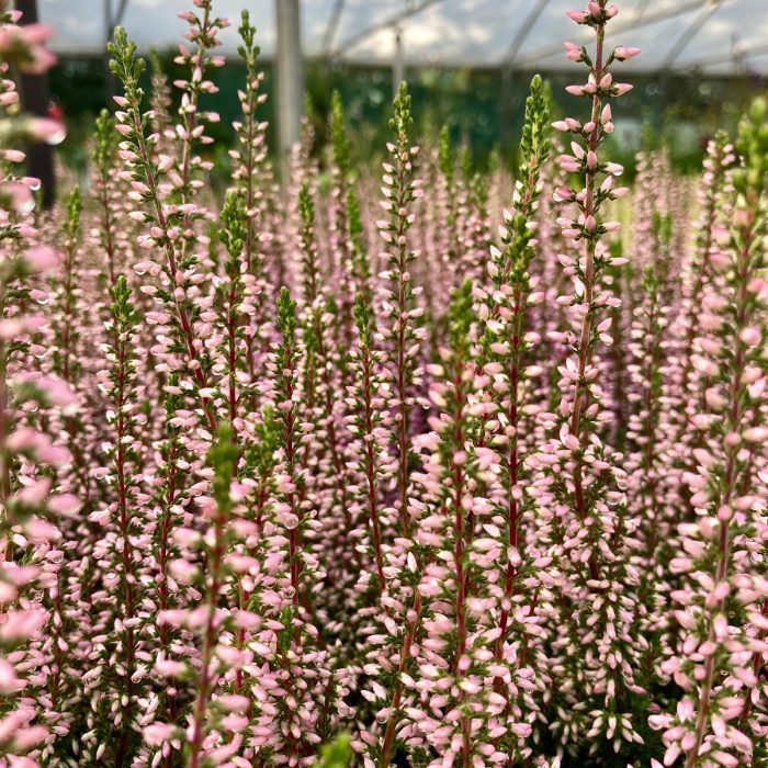 bb44993c-9b1f-418d-96bd-fa74797a57c8