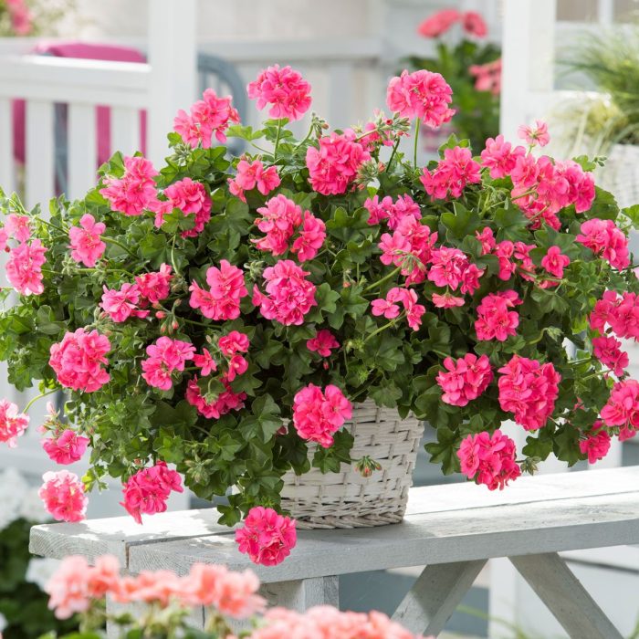 db16fdcc-52cd-49cb-8ae0-3b554548eaa1