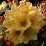 208d3f06-4f39-4b54-a693-821f9e57d1b3