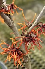 410e2b93-26f8-4536-bcbf-10c419454566