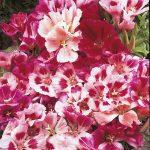 4d58fc82-6d71-4767-aaaf-62eb34be5190