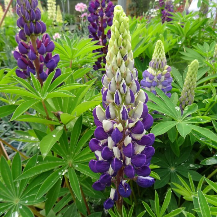 f0c810b2-4be5-4602-9dc5-e13c64f608c8