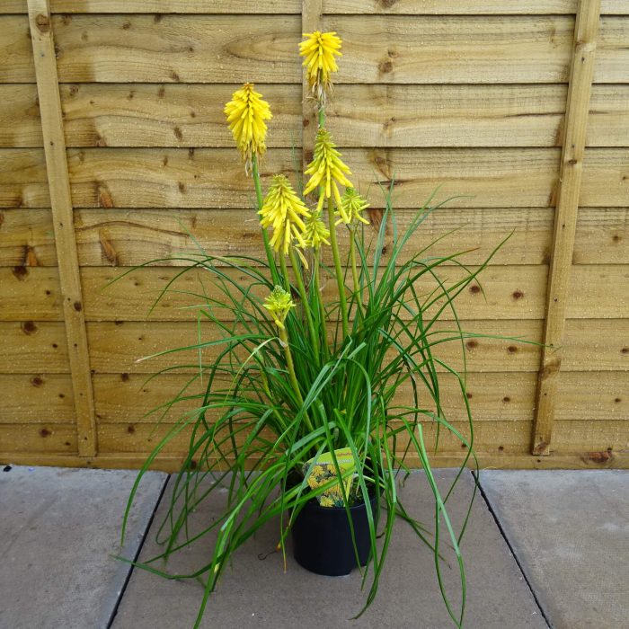 4070dd30-6055-4e12-96d8-52a632a5a0e5