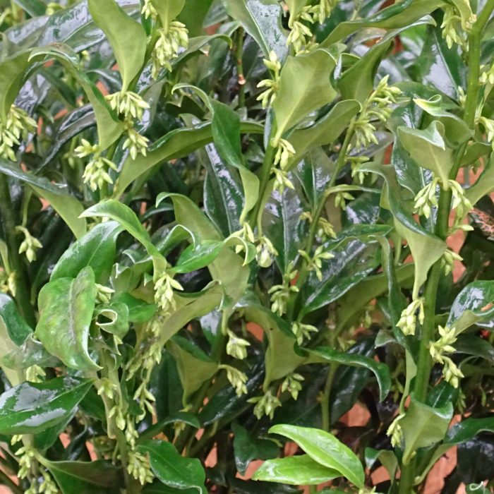 2055c80b-ace5-49e1-a951-2d98d0fa986a