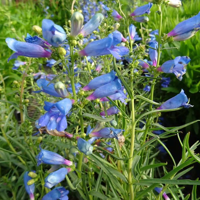 cfa9c3ee-74e9-41fc-9c12-84dae658000b