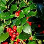 121905ba-a1d6-41a5-a354-2be8baaa11ae