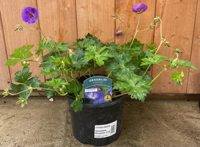 8f354841-92ca-4a4c-98cd-82fb2478d33c