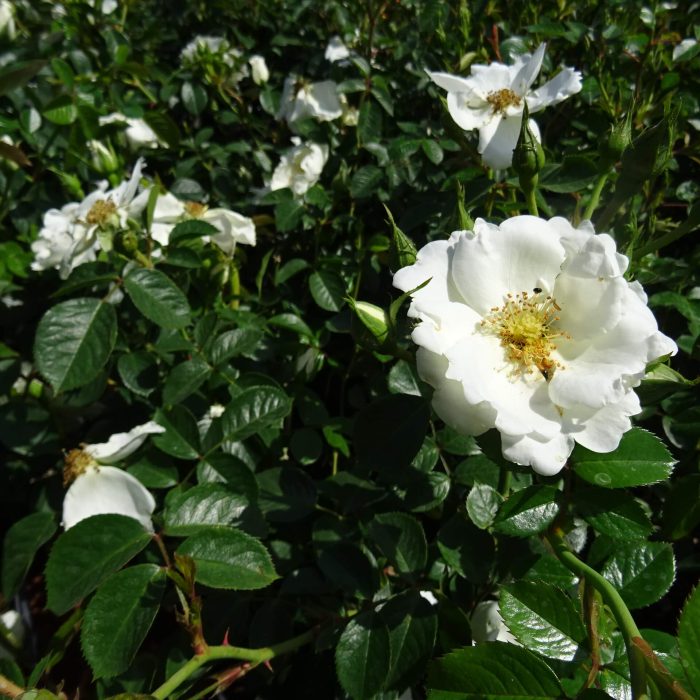 dd1e1283-10df-4997-a97c-cc43dbab9014