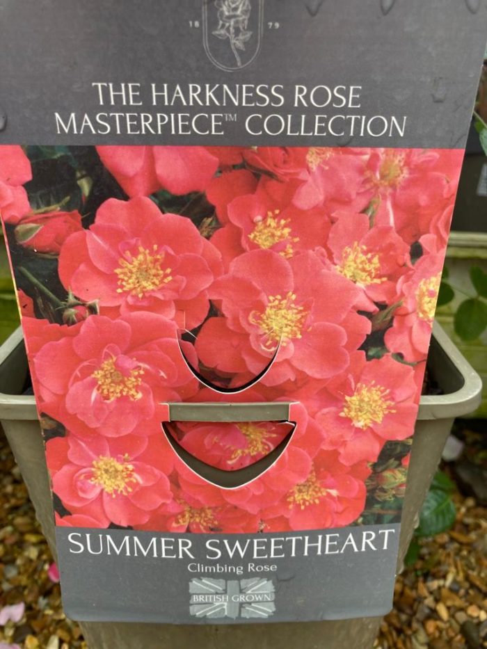 7f58b968-0388-4ac0-9dfe-3910f0d4cf0a