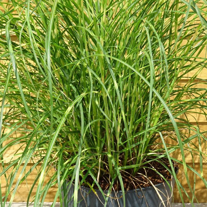 302aadf4-f384-4ff7-9993-725542c2821c