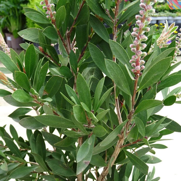 5cf039c06d9d57272a3c7156e3221879.jpg bfc00e76-7b47-49df-a4f9-774f20fb88a0