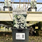 5f69918d-03f5-4371-a238-199f59ce49fe