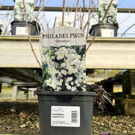 5f69918d-03f5-4371-a238-199f59ce49fe