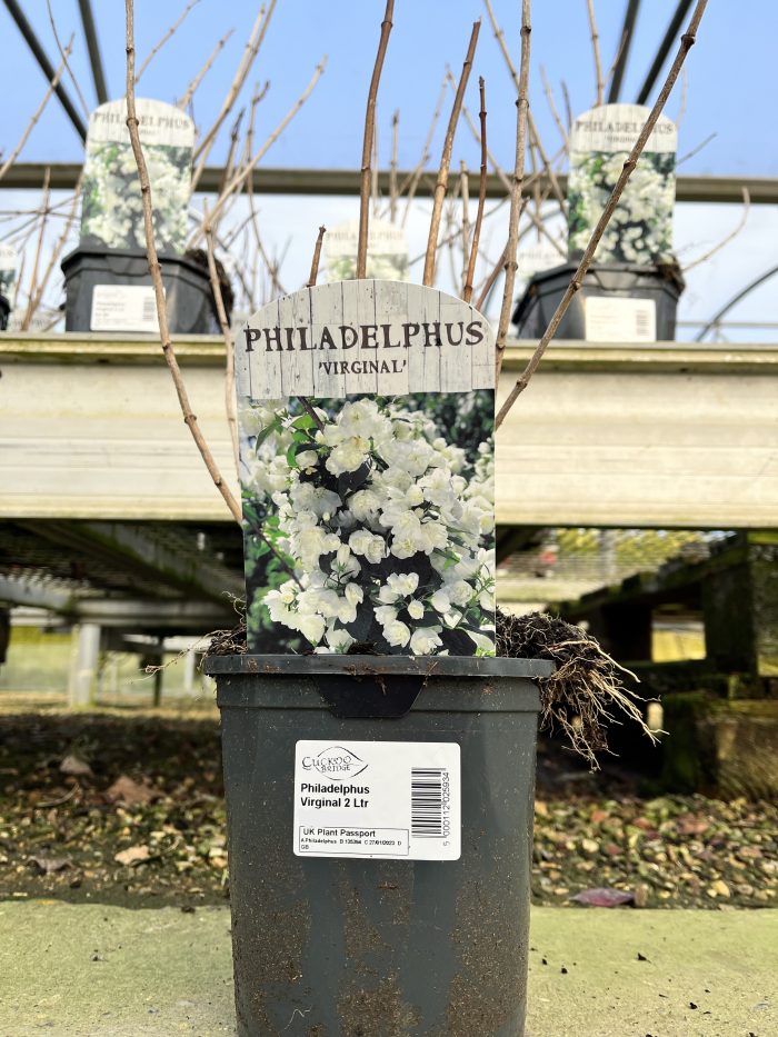 5d1860a3eff046f3011d87be91a96ddc.jpg 5f69918d-03f5-4371-a238-199f59ce49fe