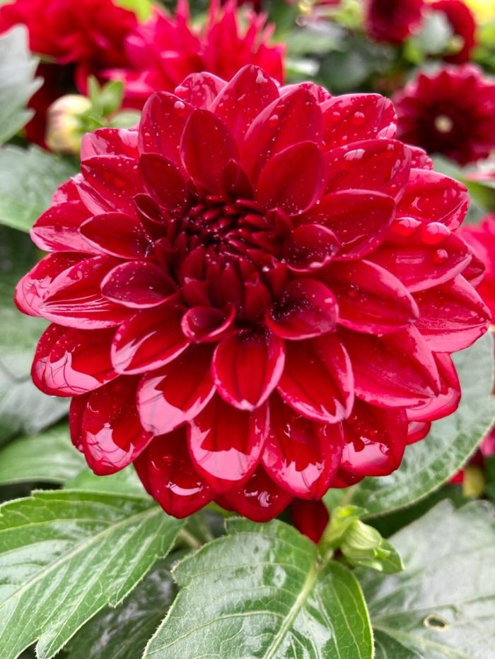 d30eb4ea-5df4-4caa-ae6e-4b5569e37d36