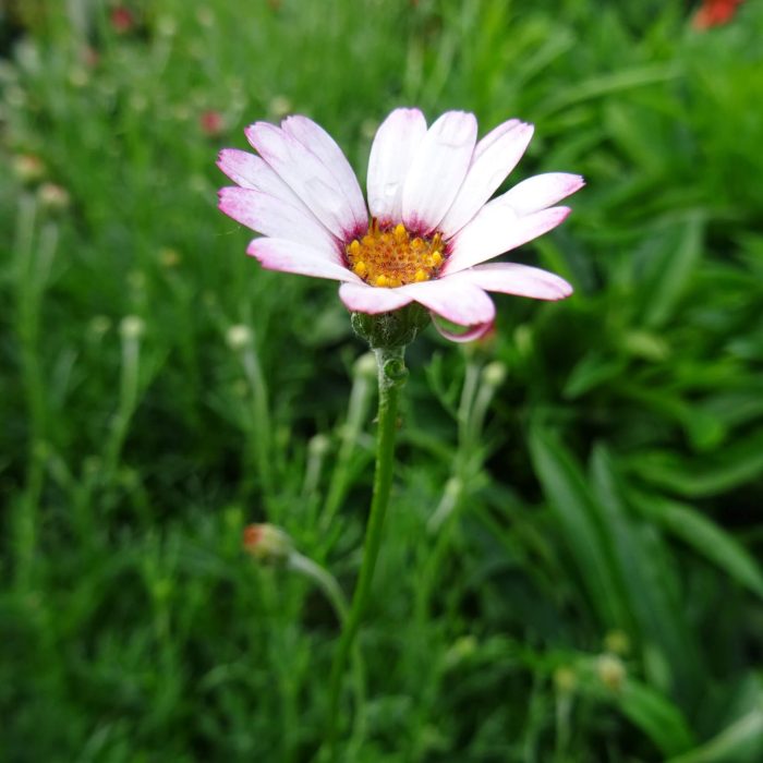 934eaf98-8ae5-490f-b30c-e8fcd8f14d70