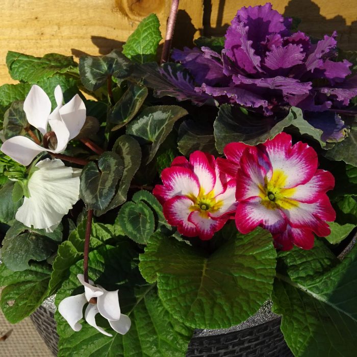 f50f7ebb-44f5-4fd9-8fde-c14956ec607d